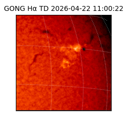 gong - 2026-04-22T11:00:22