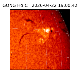 gong - 2026-04-22T19:00:42