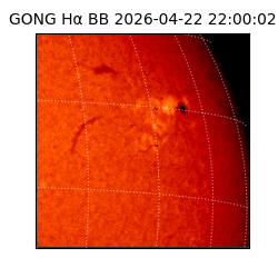 gong - 2026-04-22T22:00:02