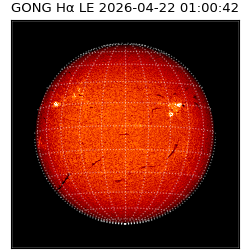 gong - 2026-04-22T01:00:42