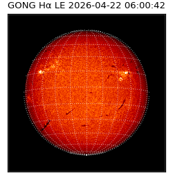 gong - 2026-04-22T06:00:42