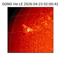 gong - 2026-04-23T02:00:42