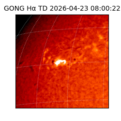 gong - 2026-04-23T08:00:22