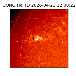 gong - 2026-04-23T12:00:22