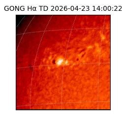 gong - 2026-04-23T14:00:22