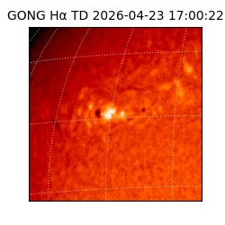 gong - 2026-04-23T17:00:22