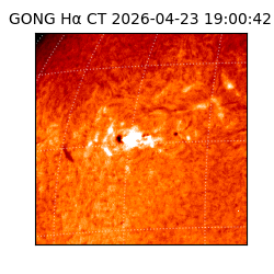 gong - 2026-04-23T19:00:42