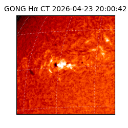 gong - 2026-04-23T20:00:42