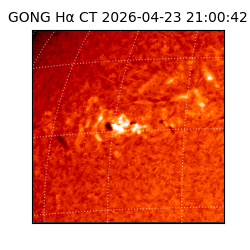 gong - 2026-04-23T21:00:42