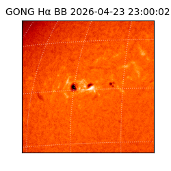 gong - 2026-04-23T23:00:02