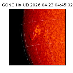 gong - 2026-04-23T04:45:02