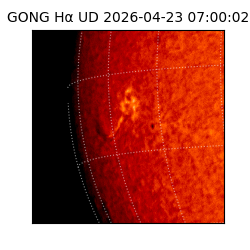 gong - 2026-04-23T07:00:02