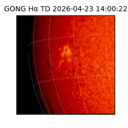 gong - 2026-04-23T14:00:22