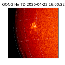 gong - 2026-04-23T16:00:22