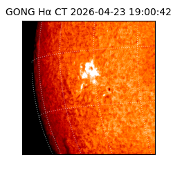 gong - 2026-04-23T19:00:42