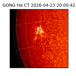 gong - 2026-04-23T20:00:42