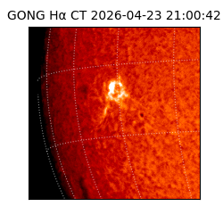 gong - 2026-04-23T21:00:42