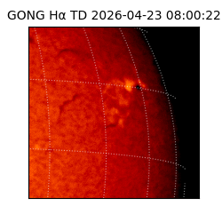 gong - 2026-04-23T08:00:22
