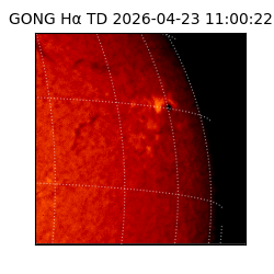 gong - 2026-04-23T11:00:22