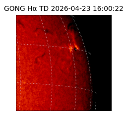 gong - 2026-04-23T16:00:22