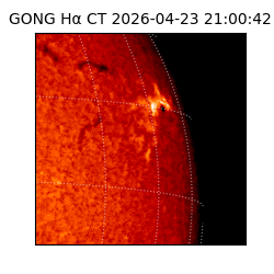 gong - 2026-04-23T21:00:42