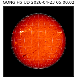 gong - 2026-04-23T05:00:02