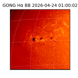 gong - 2026-04-24T01:00:02