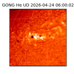 gong - 2026-04-24T06:00:02