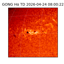 gong - 2026-04-24T08:00:22