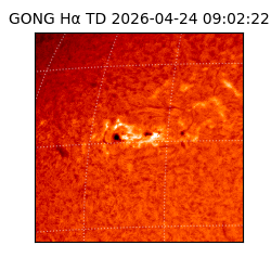 gong - 2026-04-24T09:02:22