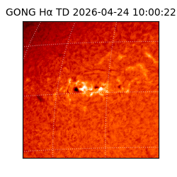 gong - 2026-04-24T10:00:22