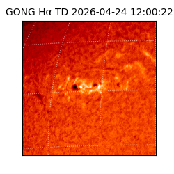 gong - 2026-04-24T12:00:22