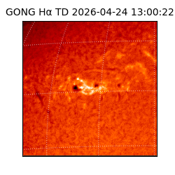 gong - 2026-04-24T13:00:22