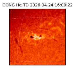 gong - 2026-04-24T16:00:22