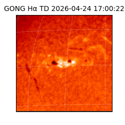 gong - 2026-04-24T17:00:22