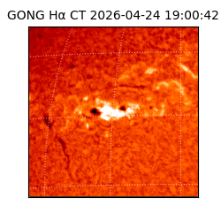 gong - 2026-04-24T19:00:42