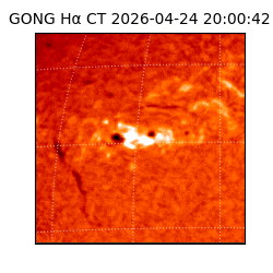 gong - 2026-04-24T20:00:42