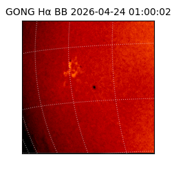 gong - 2026-04-24T01:00:02