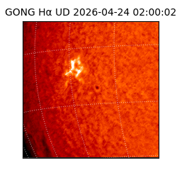 gong - 2026-04-24T02:00:02