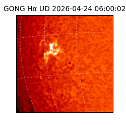 gong - 2026-04-24T06:00:02