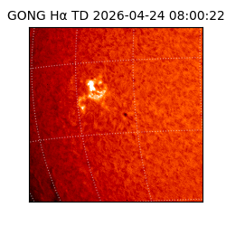 gong - 2026-04-24T08:00:22