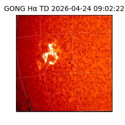 gong - 2026-04-24T09:02:22