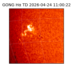 gong - 2026-04-24T11:00:22