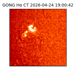 gong - 2026-04-24T19:00:42