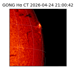 gong - 2026-04-24T21:00:42