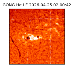 gong - 2026-04-25T02:00:42