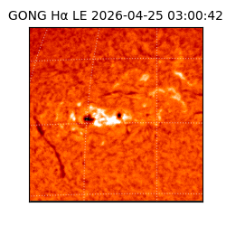 gong - 2026-04-25T03:00:42