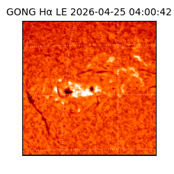 gong - 2026-04-25T04:00:42