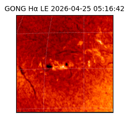gong - 2026-04-25T05:16:42