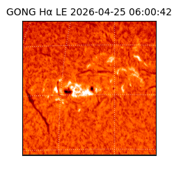 gong - 2026-04-25T06:00:42